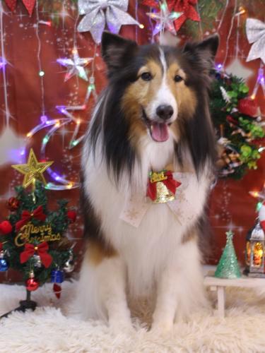 20231207ヒューゴくん